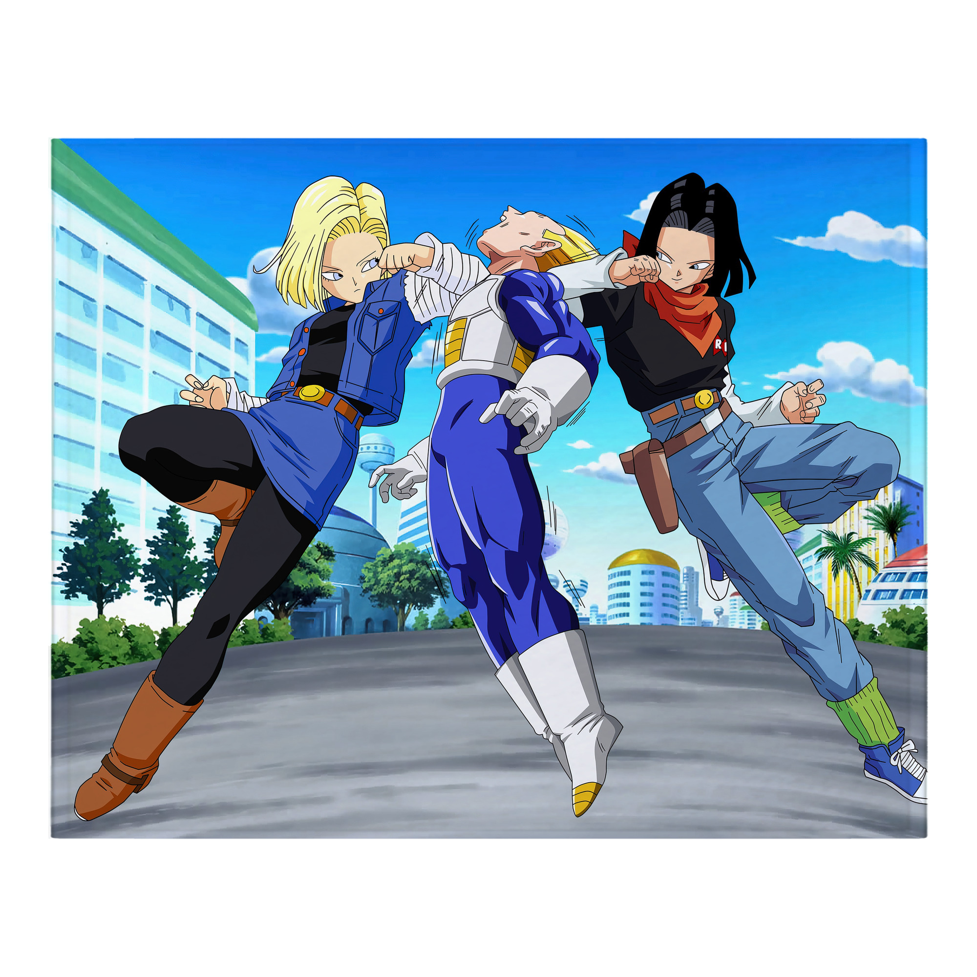 （画像用） ドラゴンボール DRAGON BALL フランネルブランケット・多サイズ対応（横型）