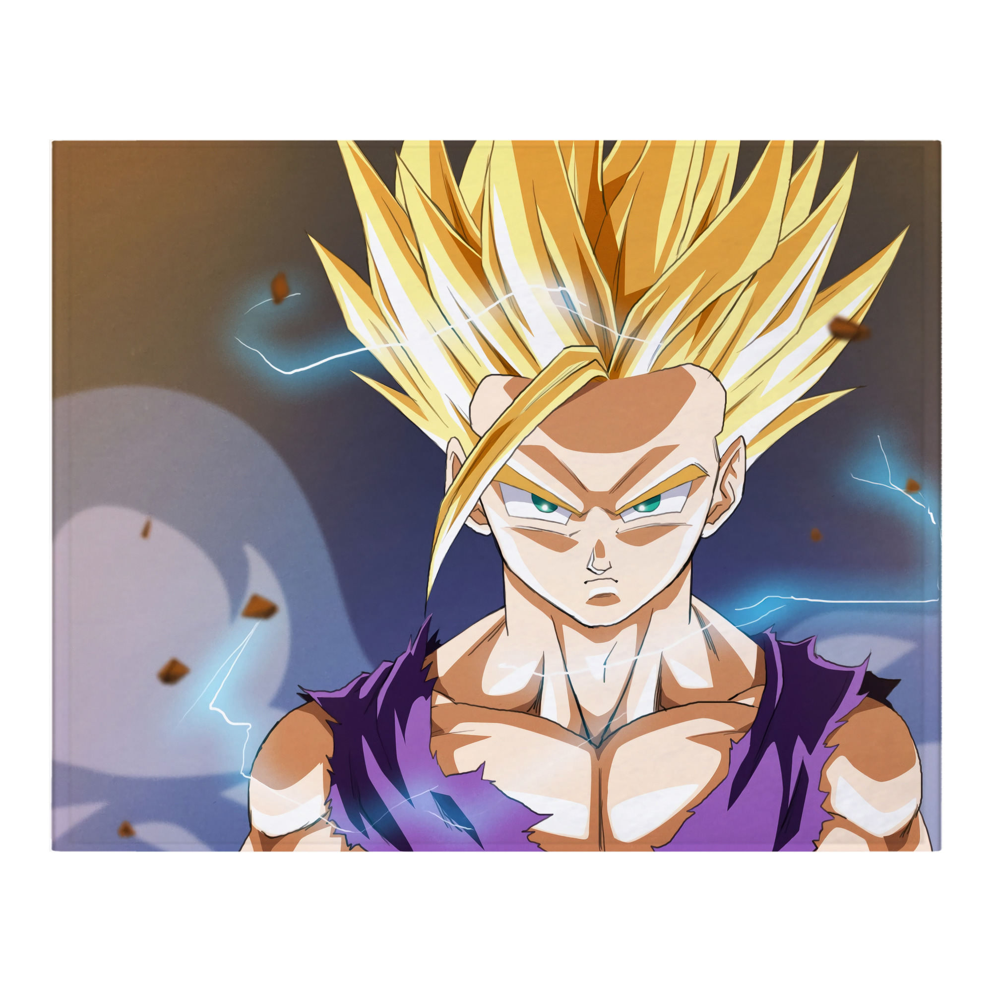 （画像用） ドラゴンボール DRAGON BALL フランネルブランケット・多サイズ対応（横型）