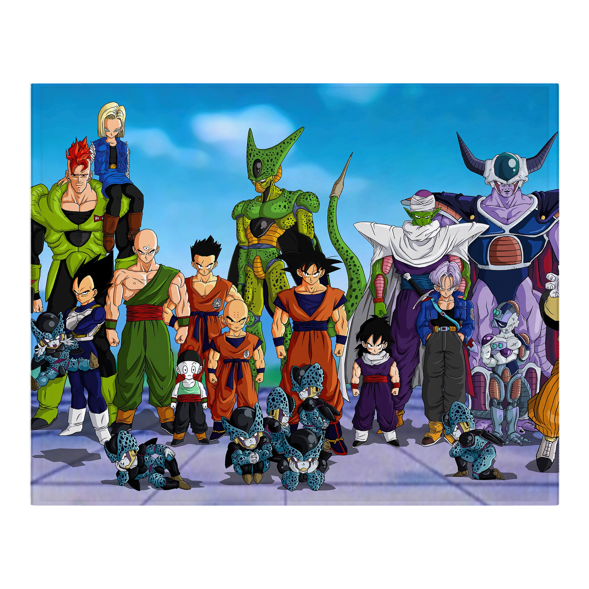 （画像用） ドラゴンボール DRAGON BALL フランネルブランケット・多サイズ対応（横型）