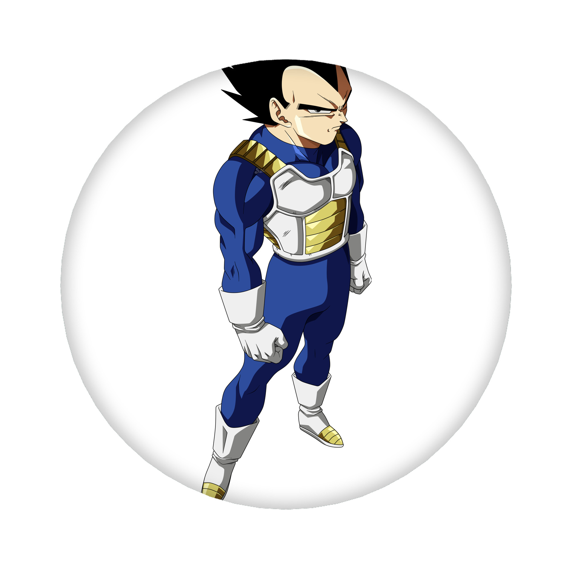 （画像用） ドラゴンボール ベジータ四世（Bejīta Yonsei）DRAGON BALL Vegeta IV 6cm 缶バッジ 複数セット
