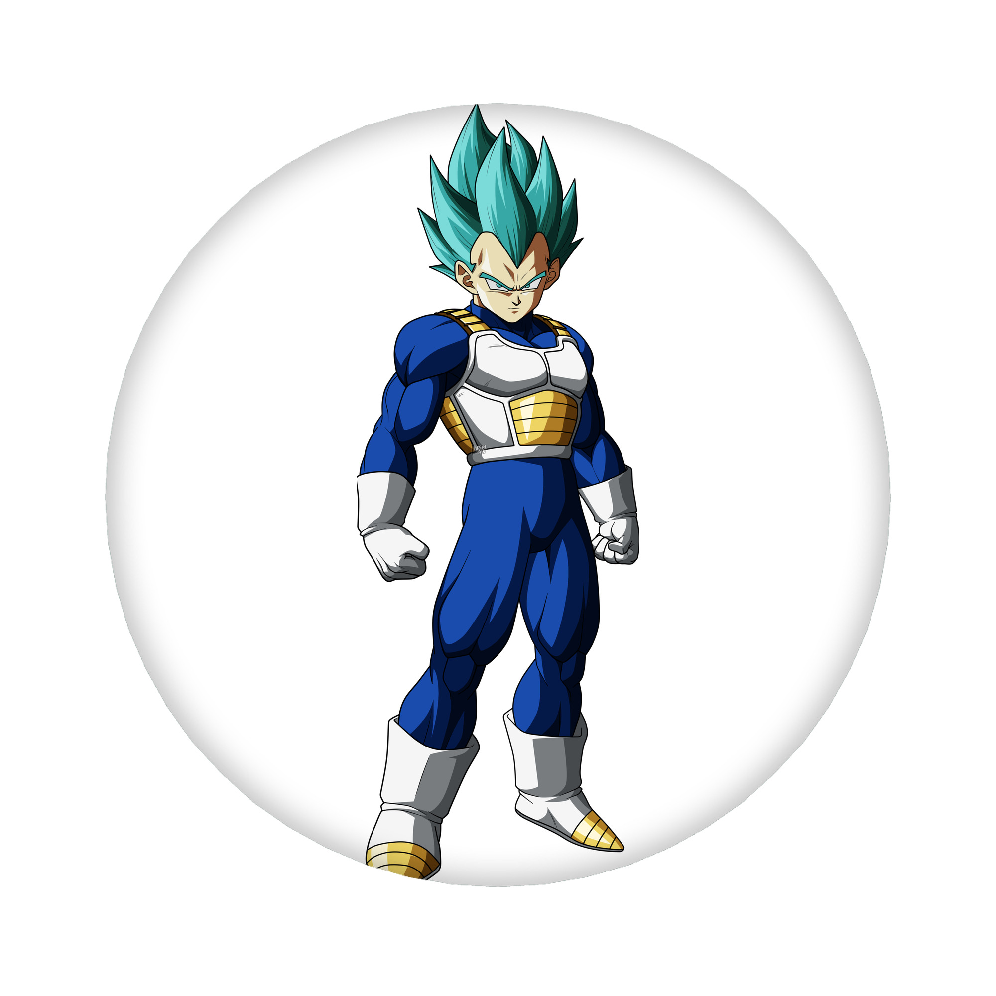 （画像用） ドラゴンボール ベジータ四世（Bejīta Yonsei）DRAGON BALL Vegeta IV 6cm 缶バッジ 複数セット