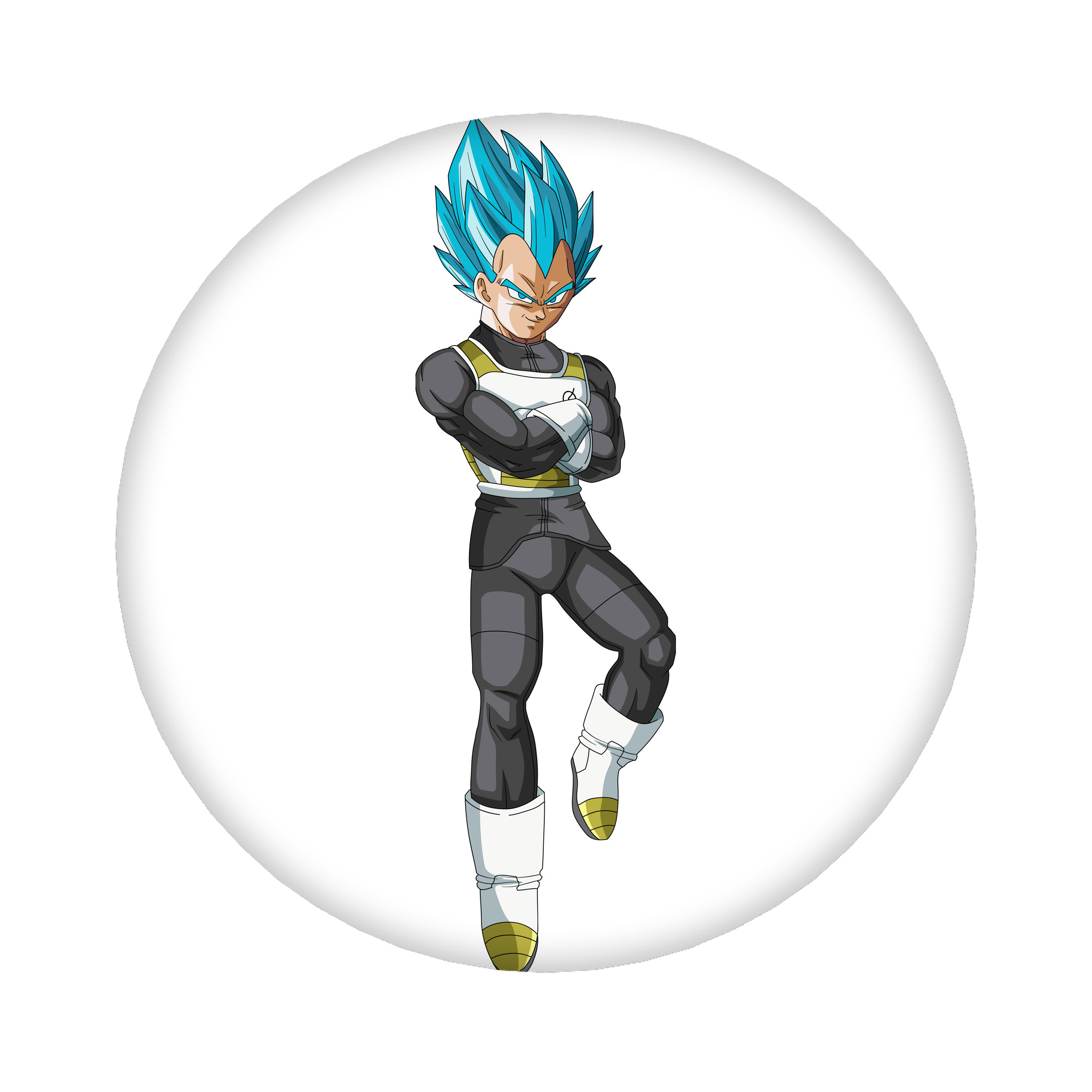 （画像用） ドラゴンボール ベジータ四世（Bejīta Yonsei）DRAGON BALL Vegeta IV 6cm 缶バッジ 複数セット