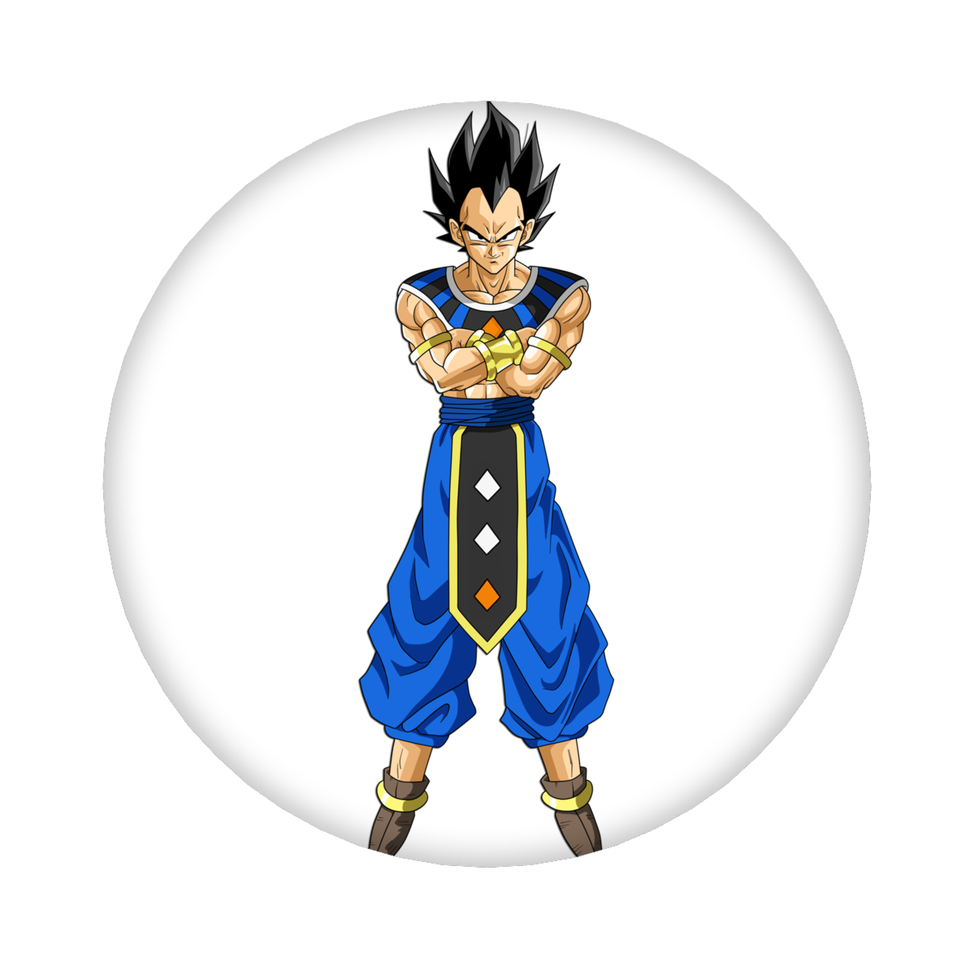 （画像用） ドラゴンボール ベジータ四世（Bejīta Yonsei）DRAGON BALL Vegeta IV 6cm 缶バッジ 複数セット