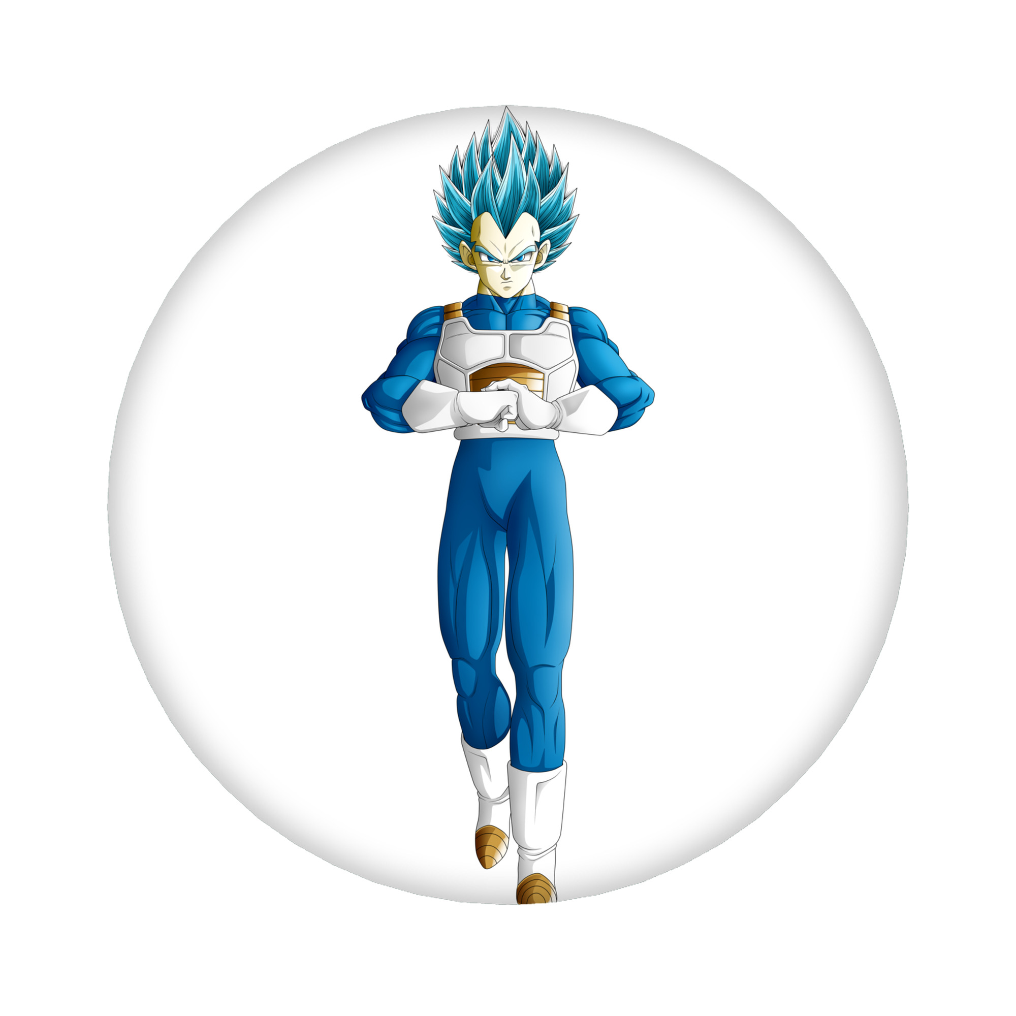 （画像用） ドラゴンボール ベジータ四世（Bejīta Yonsei）DRAGON BALL Vegeta IV 6cm 缶バッジ 複数セット