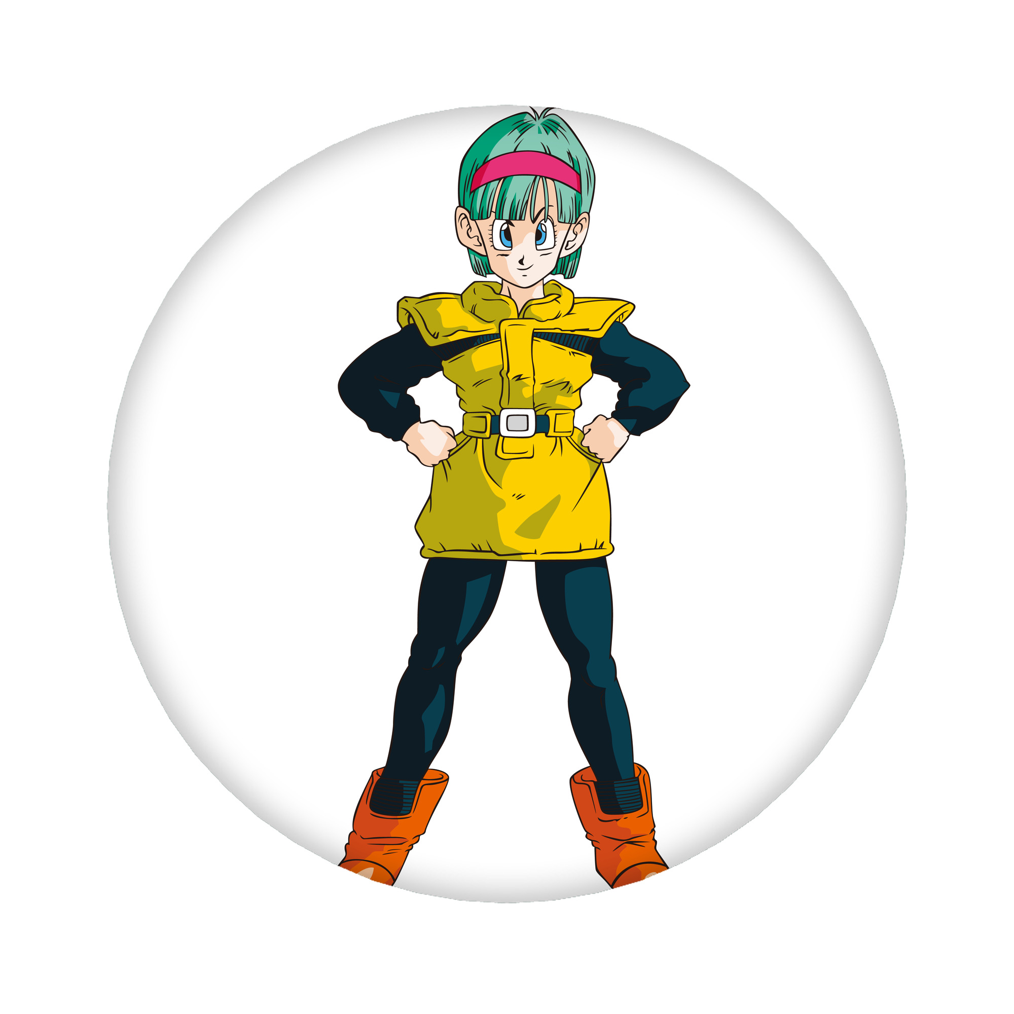 （画像用） ドラゴンボール ブルマ DRAGON BALL Bulma 6cm 缶バッジ 複数セット